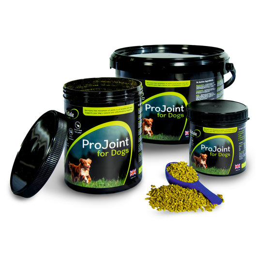 Lillidale ProJoint for Dogs