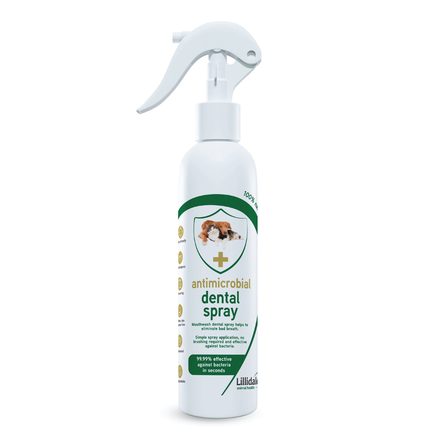 Antimicrobial Dental Spray