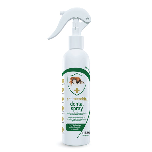 Antimicrobial Dental Spray