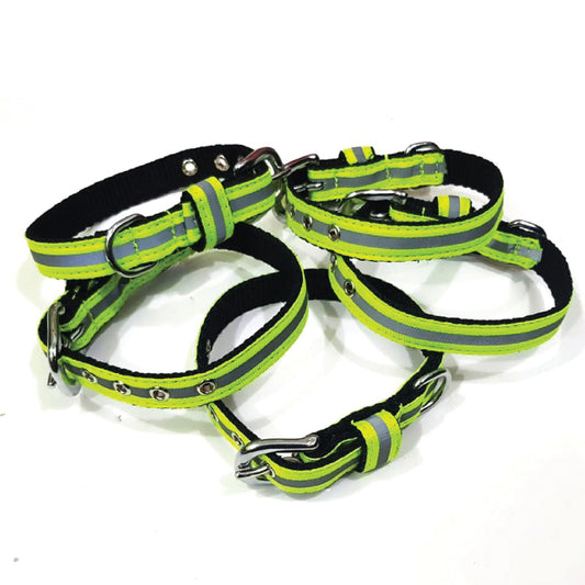 dog collar