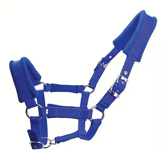 Nylon Halter Cob - Blue