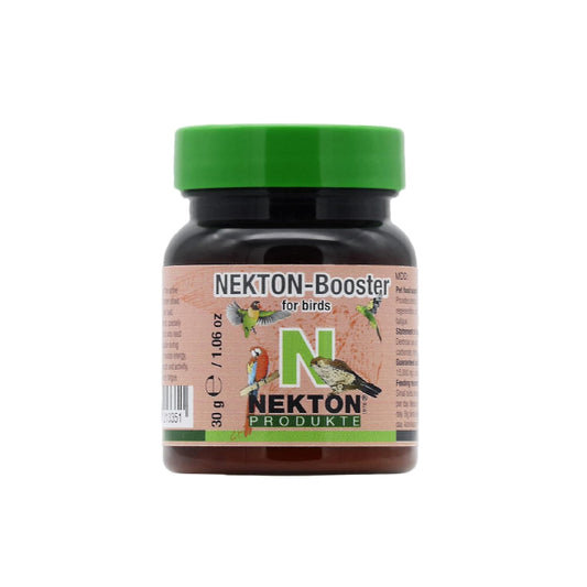 energy supplement for birds